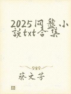 2025网盘小说txt合集