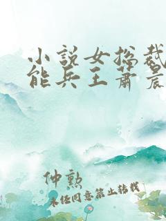 小说女总裁的全能兵王萧晨