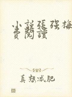 小说张强梅姨免费阅读