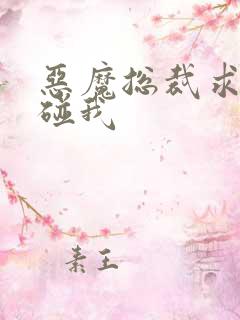 恶魔总裁求你别碰我