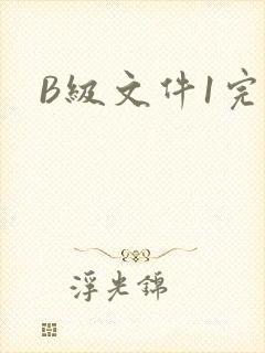 B级文件1完整