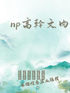 np高干文肉