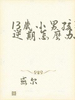 13岁小男孩叛逆期怎么办