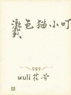 激色猫小叮当下载