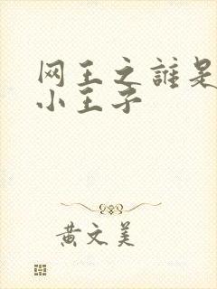 网王之谁是我的小王子