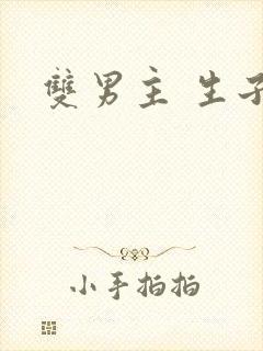 双男主 生子