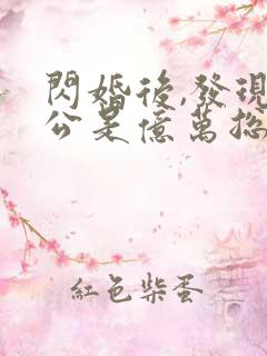 闪婚后,发现老公是亿万总裁 小说