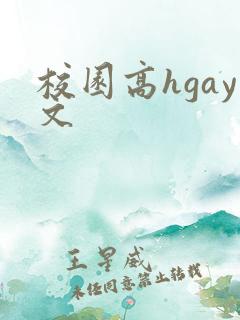 校园高hgay文