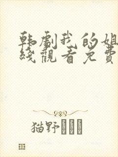 韩剧我的姐姐在线观看免费完整版