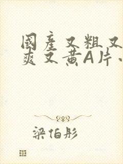 国产又粗又猛又爽又黄A片小说