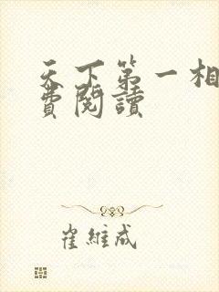 天下第一相书免费阅读