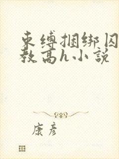 束缚捆绑囚禁调教高h小说