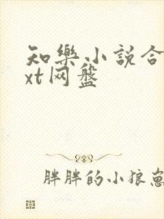 知乐小说合集txt网盘