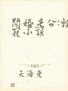 闪婚老公:轻点宠小说