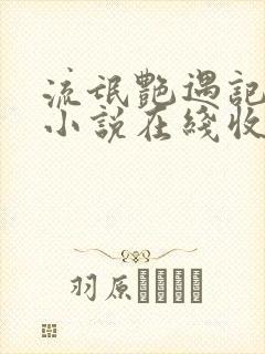 流氓艳遇记有声小说在线收听