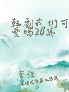 韩剧我们可以相爱吗20集