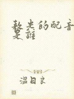 敖光的配音演员是谁