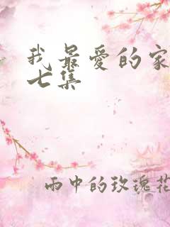 我最爱的家人第七集