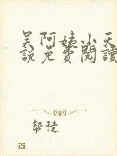 吴阿姨小天的小说免费阅读