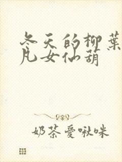 冬天的柳叶小说凡女仙葫