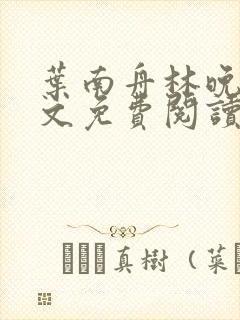 叶南舟林晚星全文免费阅读最新章节