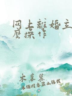 网上离婚立案怎么操作