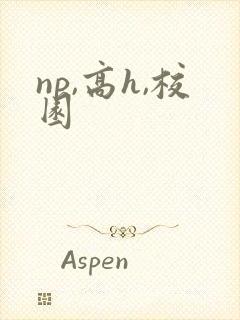 np,高h,校园
