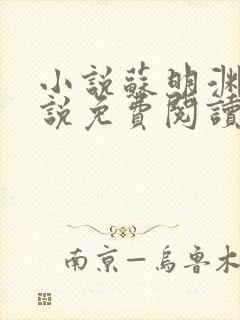 小说苏明渊的小说免费阅读无弹窗