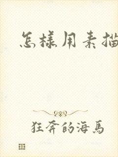 怎样用素描画人