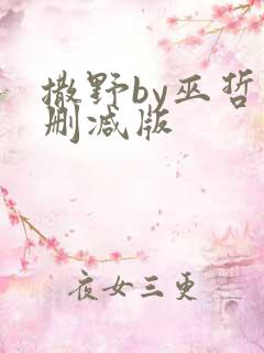 撒野by巫哲未删减版