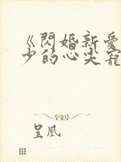 《闪婚新爱:季少的心尖宠》