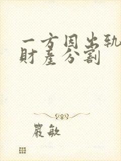 一方因出轨离婚财产分割