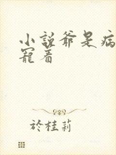 小说爷是病娇得宠着