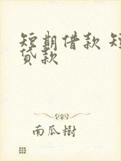 短期借款 短期贷款