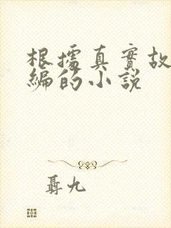 根据真实故事改编的小说