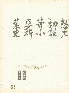 叶辰萧初然最新更新小说免费阅读