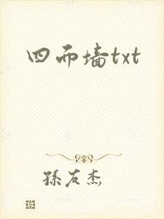 四面墙txt