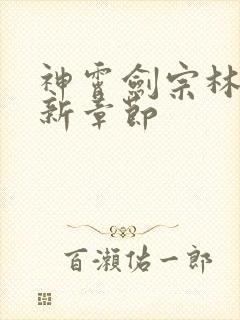 神霄剑宗林枫最新章节