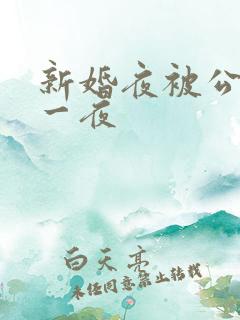 新婚夜被公干了一夜