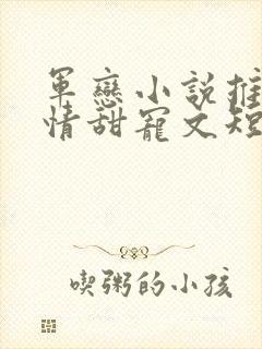 军恋小说推荐言情甜宠文短篇