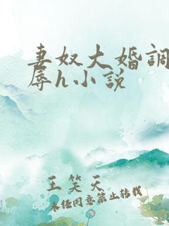 妻奴大婚调教屈辱h小说