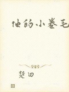 他的小卷毛
