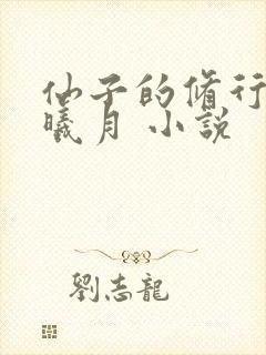 仙子的修行 萧曦月 小说