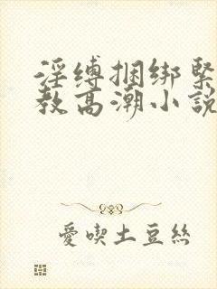 淫缚捆绑紧缚调教高潮小说