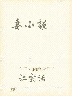 妻小说