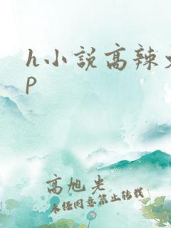 h小说高辣文np