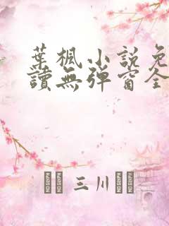 叶枫小说免费阅读无弹窗全文