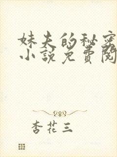 妹夫的秘密赵刚小说免费阅读