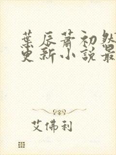 叶辰萧初然最快更新小说最新