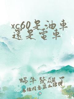 xc60是油车还是电车